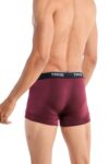 TRYB Pro Mens Sport Performance Stretch Underwear Quick Dry Moisture Wicking Athletic Active Kooltex Short Boxer Trunk - Pack of 2