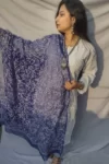 Royal Blue And White Chikankari Tapchi Duppata