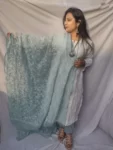 Aqua Blue and White Georgette Chikankari Dupatta