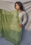 Green and White Georgette Chikankari Dupatta