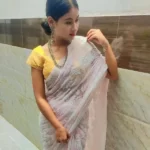 Baby Pink Full Jaal Chikan Saree