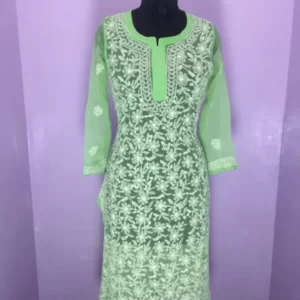 Light Green Georgette All-over Chikankari Jaal Kurta