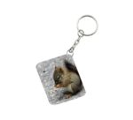 Generic Pack Of 3_ Squirrel One Side Printed Rectangle Designer Keychain (Brown)