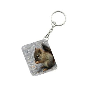 Generic Pack Of 3_ Squirrel One Side Printed Rectangle Designer Keychain (Brown)