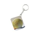 Generic Pack Of 3_ Shells Sand One Side Printed Rectangle Designer Keychain (Yellow)