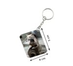 Generic Pack Of 3_ Cat Love One Side Printed Rectangle Designer Keychain (Brown)