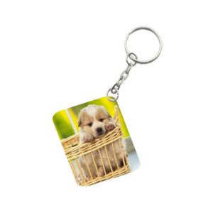 Generic Pack Of 3_ Basket Dog One Side Printed Rectangle Designer Keychain (Brown)