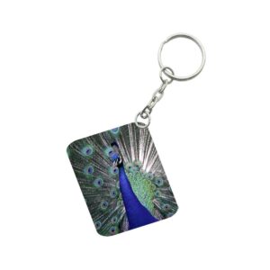 Generic Pack Of 3_ Peacock One Side Printed Rectangle Designer Keychain (Multi Color)