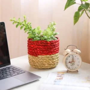 Handwoven Red Planter / Eco Friendly Organiser