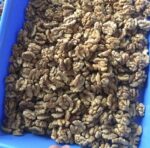 Kashmiri Walnut Kernels (500g)