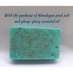 Beach Please Scrub Bar- With Himalayan Pink Salt