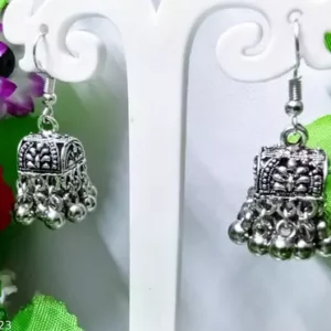 Stylish Earrings