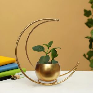 Metal Golden moon shape Planter Pot 9 inches