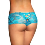 Women's Lace Mid Waist Hipster Lace Panty In Criss Cross Pattern (Blue)