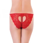 Women's Lace Low Waist Elegant Lace Back Heart Panty For Special Moment (Red)