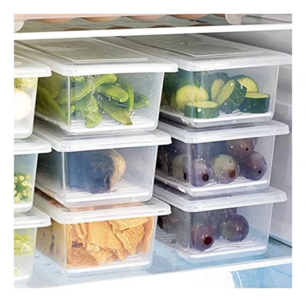 Generic Pack Of_2_Pack of 2 Food Storage Container with Removable Drain Plate and Lid 1500 ml Fridge Storage Box  (Assorted)