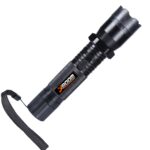 Electra V-2.0 Laser + Flash Light Stun Gun