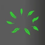 Green Leaf Radium Wall Sticker