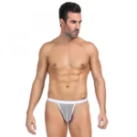 Men's Mesh Power Net Transparent Sexy Brief Underwear (White)