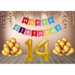 14Th Happy Birthday Decoration Combo With Multi Color Banner (Multicolor)