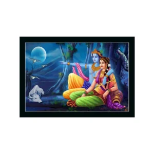 Beautiful Radha Krishna Vinyl Sparkle Coated with Synthetic Photo Frame (Multicolor)