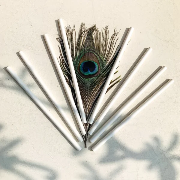 NaturePaper Straws