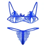 Women's Net Solid Lingerie Set (Blue)