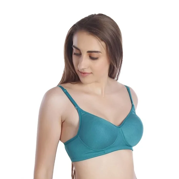 Pack Of_4 Women's Cotton Solid T-Shirt Bra (Multicolor)